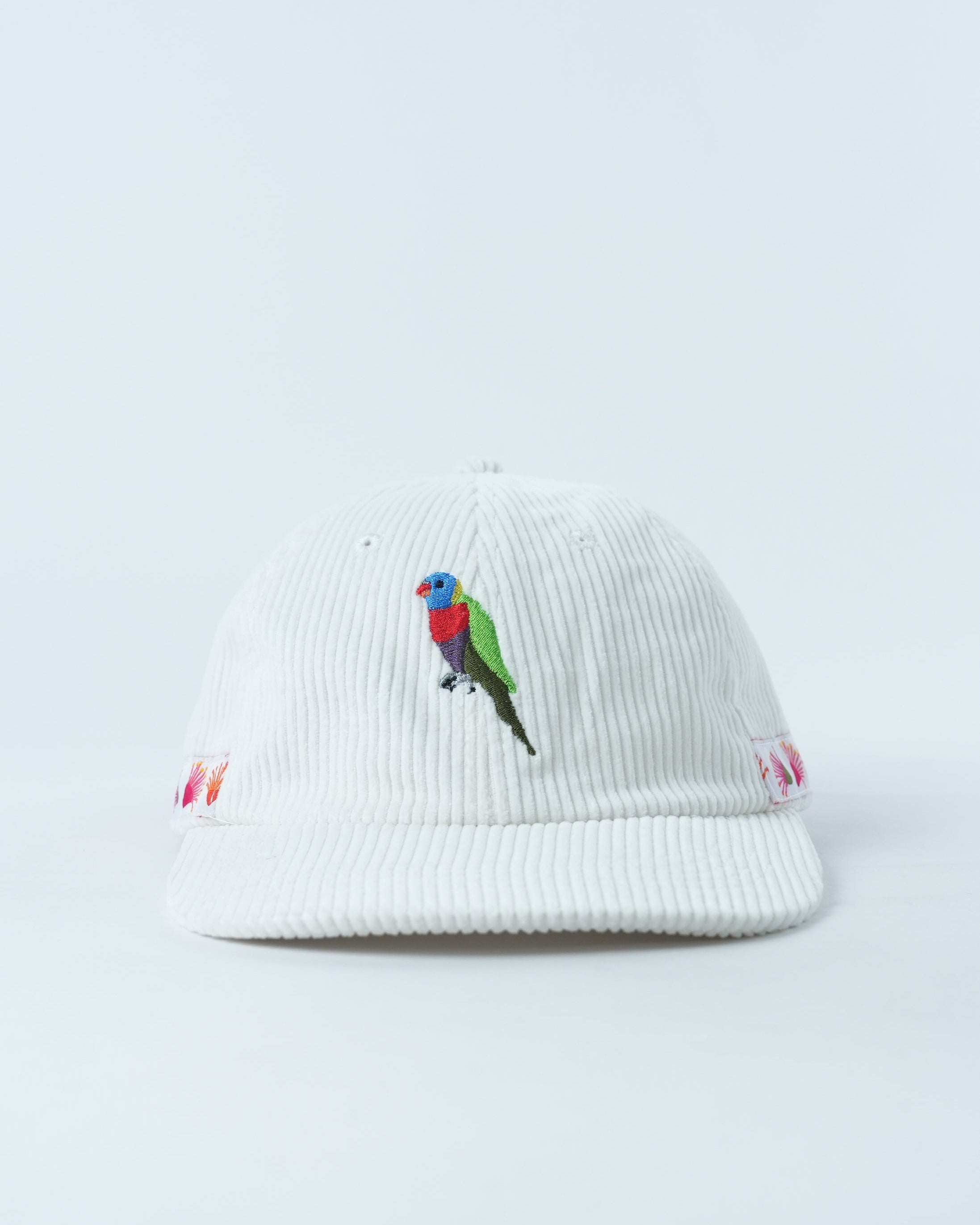 Rainbow Lorikeet Lid